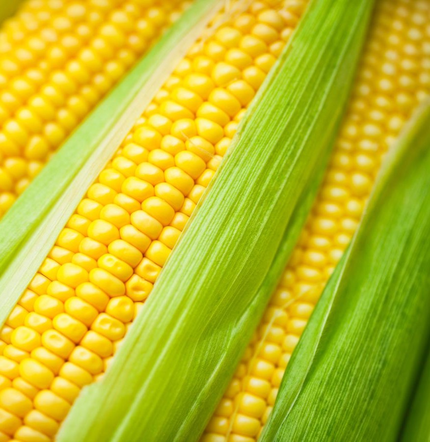 Corn