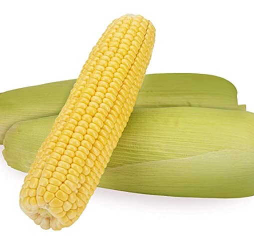 Corn