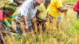 Agricultural Products