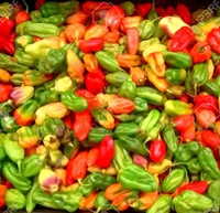 Peppers