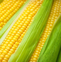 Corn